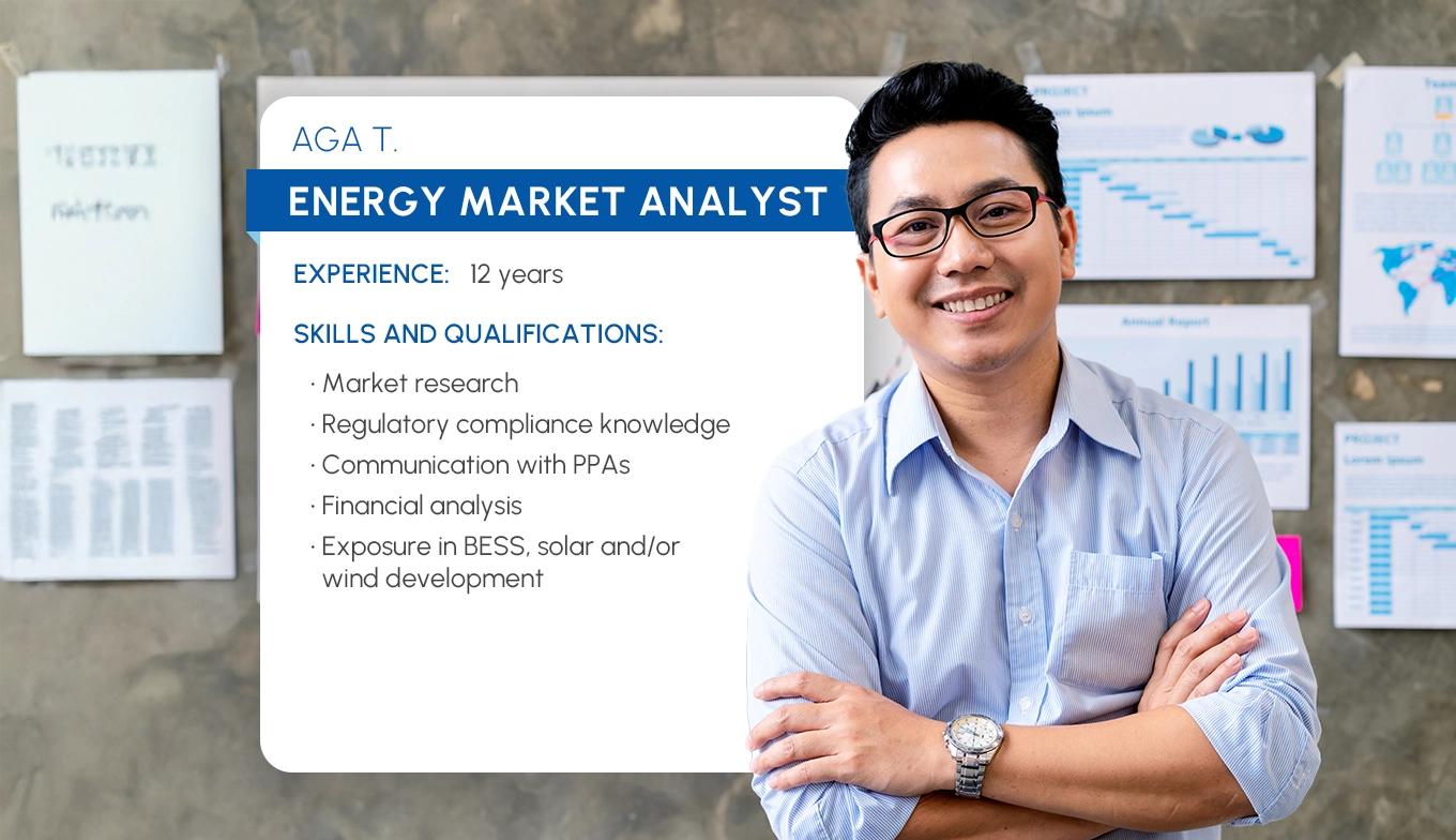 Energy market analyst